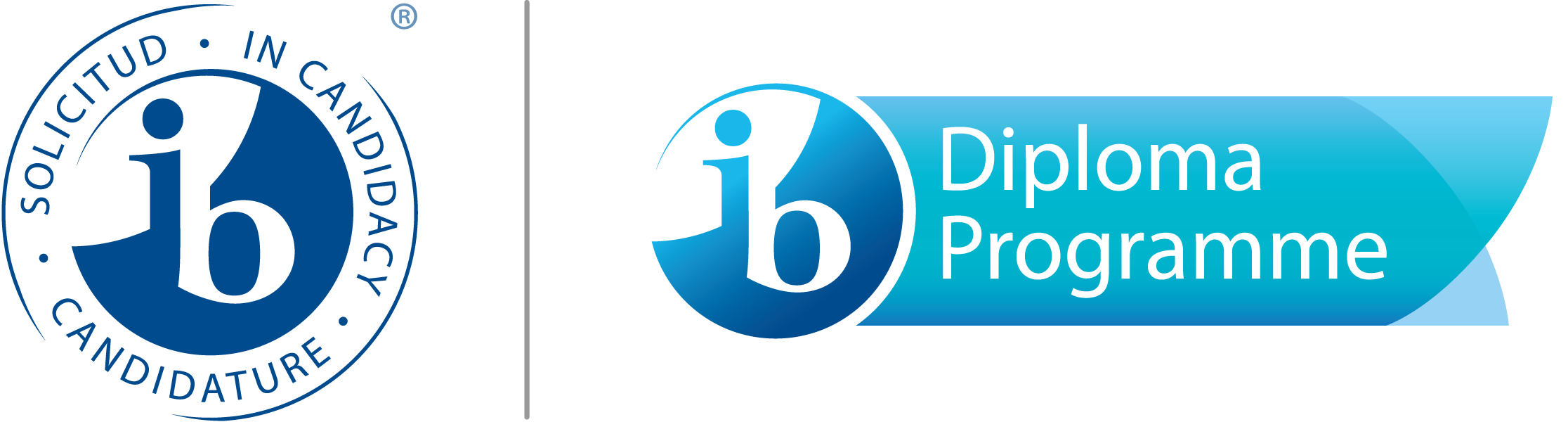 IB DP candidacy